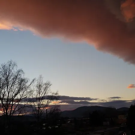 Panorama *