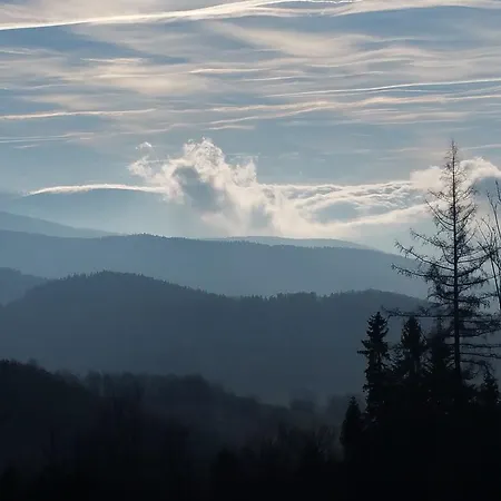 Panorama *