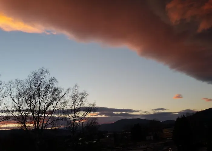 Panorama *