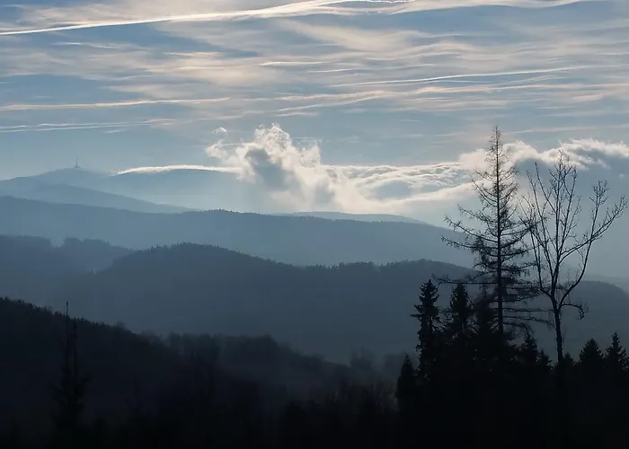 Panorama *
